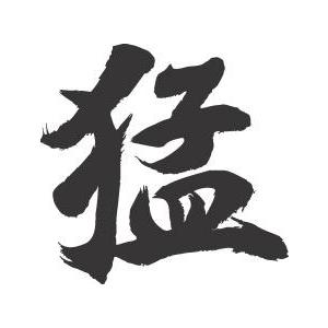 猛 書道家が書くかっこいい漢字tシャツ T Kanji Mou Takeshi T Time せとうち広告 通販 Yahoo ショッピング