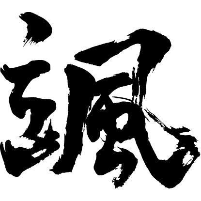 颯 書道家が書くかっこいい漢字tシャツ T Kanji Sa Satsu T Time せとうち広告 通販 Yahoo ショッピング