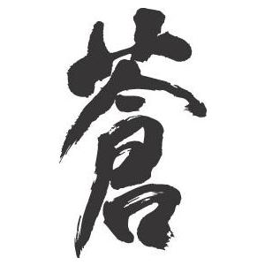 蒼 書道家が書くかっこいい漢字tシャツ T Kanji Sou Aoi T Time せとうち広告 通販 Yahoo ショッピング