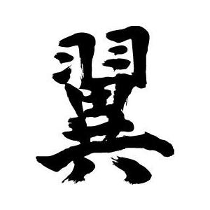 翼”書道家が書くかっこいい漢字Tシャツ- : T-time せとうち広告 - 通販