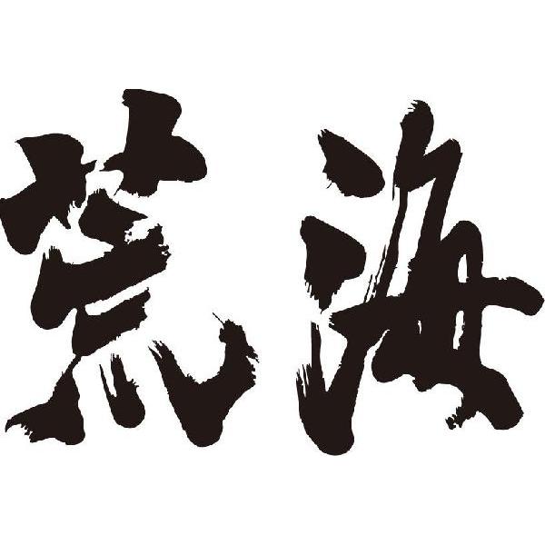 荒海 横書 書道家が書くかっこいい漢字トレーナー Yp58vcxqbd Studpac Ro