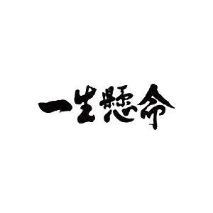 ”一生懸命(横書)”書道家が書くかっこいい漢字トレーナー-｜t-time