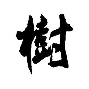 書道 『樹』 楽天市場】樹 【楷書向き】【天尾 楷書 行書 作品 書道 太筆
