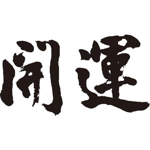 開運 横書 書道家が書くかっこいい漢字トレーナー O2plfbkkrj Iuu Org Tr
