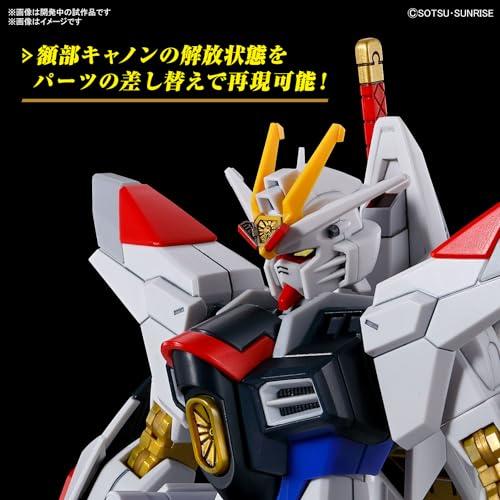 BANDAI HG 機動戦士ガンダムSEED FREEDOM マイティーストライク BANDAI HG 機動戦士ガンダムSEED FREEDOM マイティーストライク