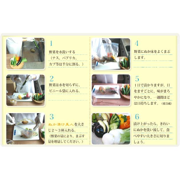 200g 熟成ぬか床パウダー「ぬか漬け美人」 漬物 かんたんぬか美人 25g×7袋 ぬか漬け ぬか漬 送料無料 おうち かんたん 簡単 楽 ブルックス スタートセット ぬか床いらず セット 糠漬 糠味噌 糠味噌漬け ぬかみそ ぬか漬けセット 人気 人気商品 発酵 漬物 つけもの 使いきり 1000円 1000円ポッキリ ポッキリ 本社発送