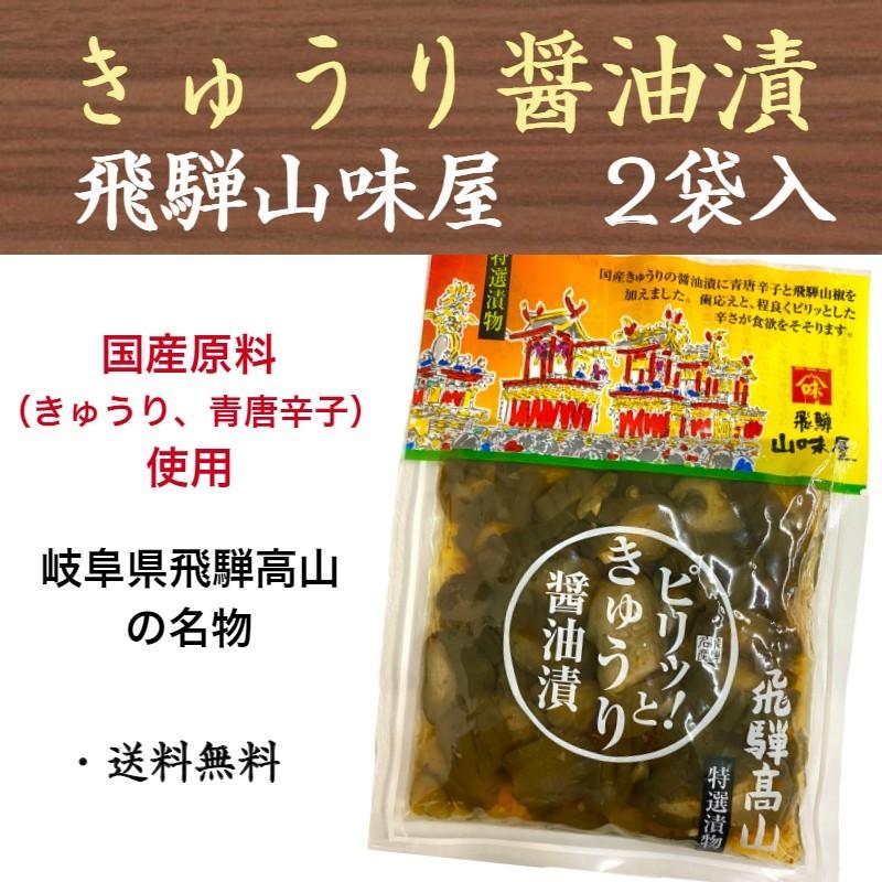 1000円ポッキリ ピリッと！きゅうり醤油漬 飛騨 山味屋 飛騨高山 国産 岐阜 110g×2袋 お土産 送料無料｜t-yokoo