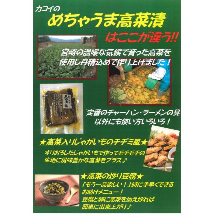高菜漬け 九州産 500g カコイ めちゃうま高菜漬 しょうゆ漬け 送料無料