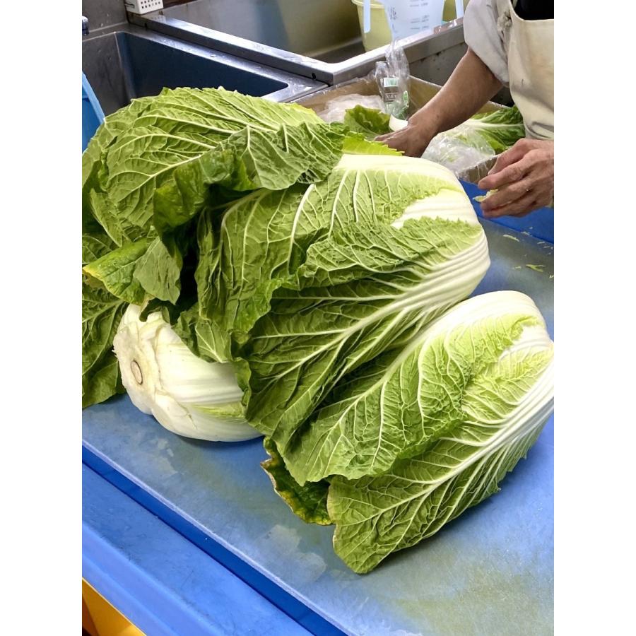 匠の白菜漬 2g 浅漬け 漬物 国産 チルド便発送 Yat 109 漬匠よこ尾ヤフー店 通販 Yahoo ショッピング