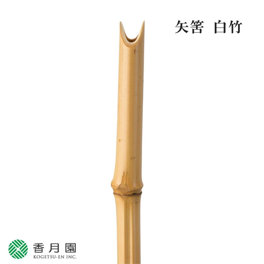 茶道具 / 軸 矢筈 白竹茶道 掛け軸 : ティーフォーユー香月園ヤフー店