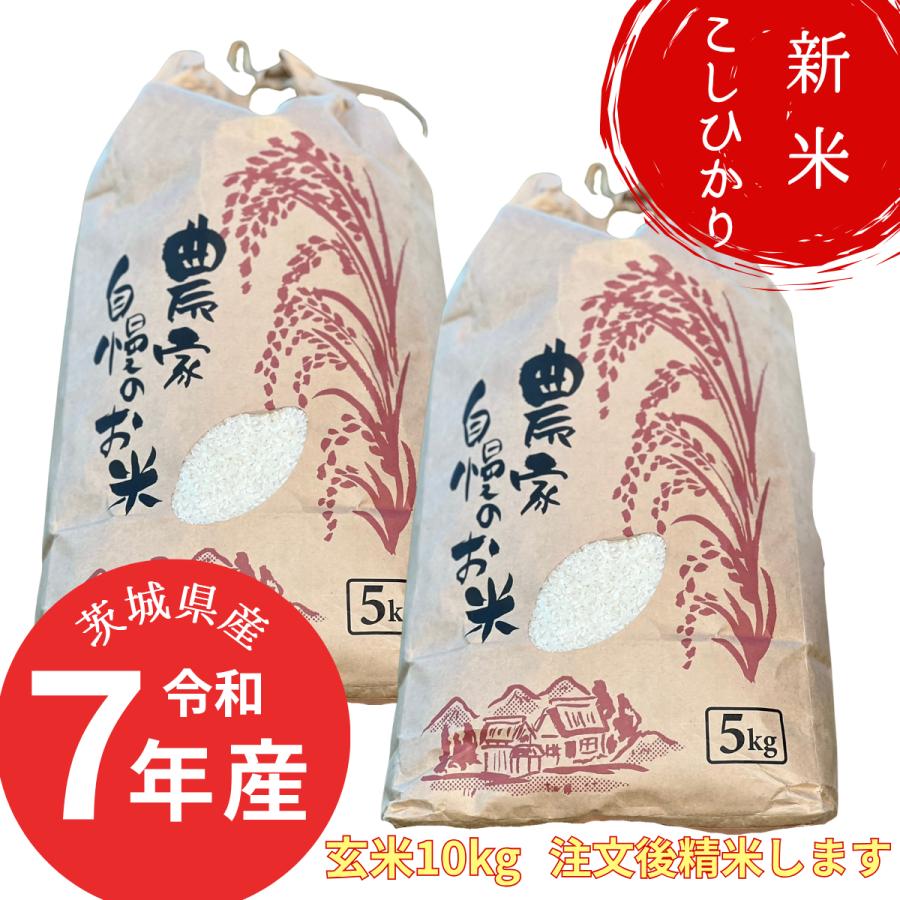 コシヒカリ 令和7年産白米 茨城県八郷産 白米 約10kg 農家直送 数量