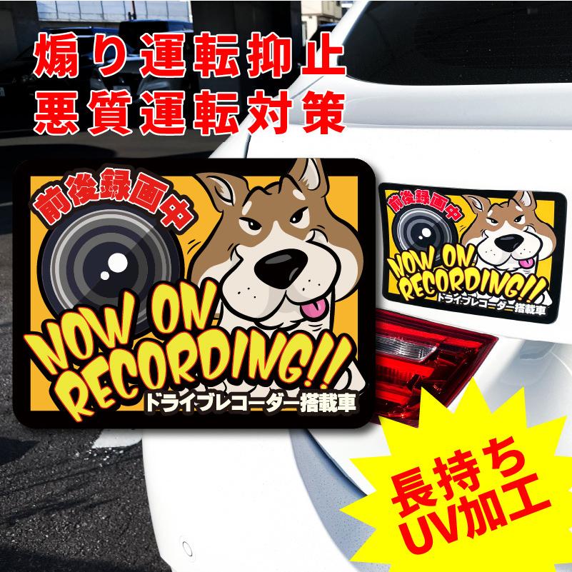 ドライブレコーダー ステッカー マグネット 犬 柴犬 茶 赤柴 かわいい おしゃれ カッコイイ アメリカン ポップ ドラレコ 長持ち あおり運転 抑止 オリジナル｜ta-creative