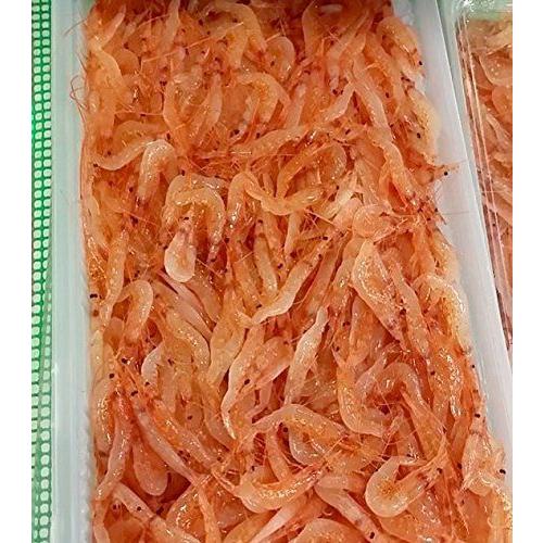 好評 桜エビ 桜海老 静岡駿河湾産 刺身ok 約500g 築地直送 冷凍 旬の春の魚 冷凍桜エビ５００ｇ 最高の Test Nordicpremiumiptv Com