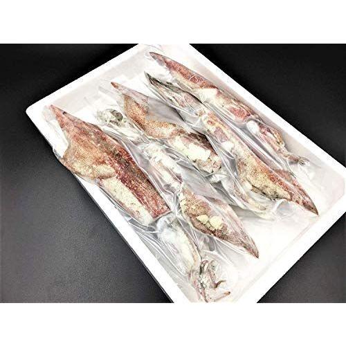 浜田港 ケンサキイカ 丸 1kg プロトン凍結 甘さみが強い 超ポイントバック祭 刺身にぴったり 山陰沖 白いか 身が柔らかく