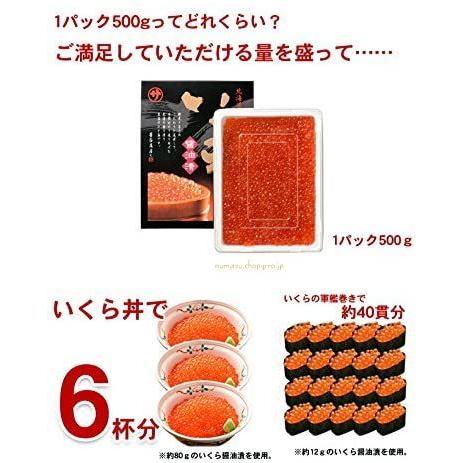 メーカー包装済 ササヤのいくら醤油漬 500g Tamaショップ 通販 Yahoo ショッピング 人気満点 Blog Lonolife Com