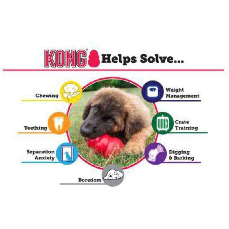 Kong CompanyT1MClassic Kong Rubber Dog Toy-LARGE RED KONG DOG TOY (並行輸｜ta-ma-shop｜05