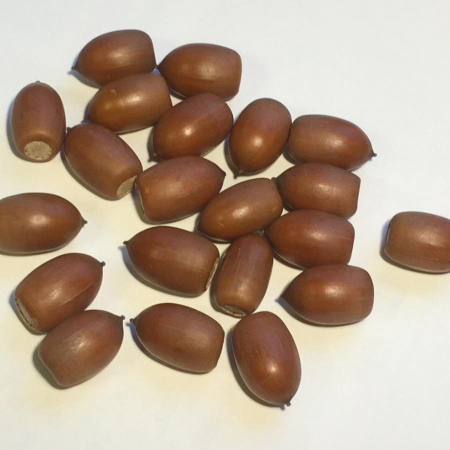 里山のめぐみ どんぐり マテバシイ果実 クラフト素材 ５０個 Yw Mat10 0010 里山のめぐみ Ta Ma Te Ba Ko 通販 Yahoo ショッピング