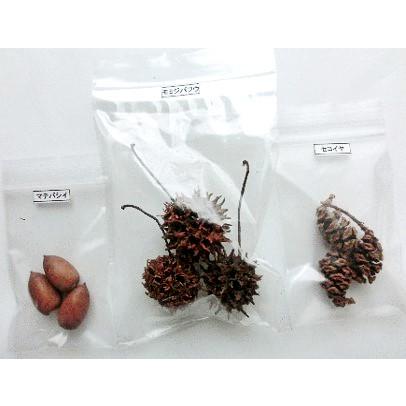 里山のめぐみ 秋の木の実 お好み18種セット ドングリ 松ぼっくり Kw Mat10 0050 里山のめぐみ Ta Ma Te Ba Ko 通販 Yahoo ショッピング