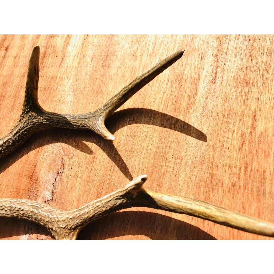 鹿角（小） 山梨県丹波山村産 : タバジビエ - 通販 - Yahoo!ショッピング