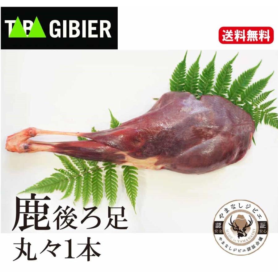 買い保障できる 鹿肉ジビエ 小鹿後ろ足1本 山梨県丹波山村産 BBQ ガーミン インスティンクト デュアルパワー サーフエディション クラウドブレイク 日本語正規版 #010-02293-61 Instinct Dual Power Surf Edition Cloudbreak