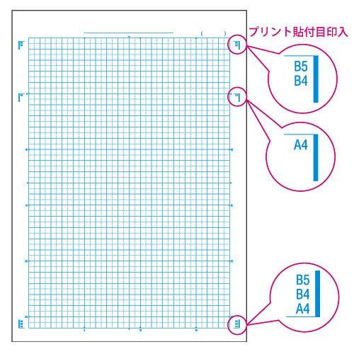 キョクトウ カレッジアニマル学習帳 5mm方眼ノート 社会 Lpa4 T0 極東 Kyokutou Kkt Lpa4 たばきギフト館 通販 Yahoo ショッピング