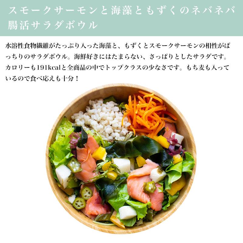 ダイエット腸活サラダ2種類 ギフトB 国産もち麦と野菜たっぷり 海藻スモークサーモン 豚しゃぶ 便秘 ダイエット 腸活チェックシート付き |  | 03