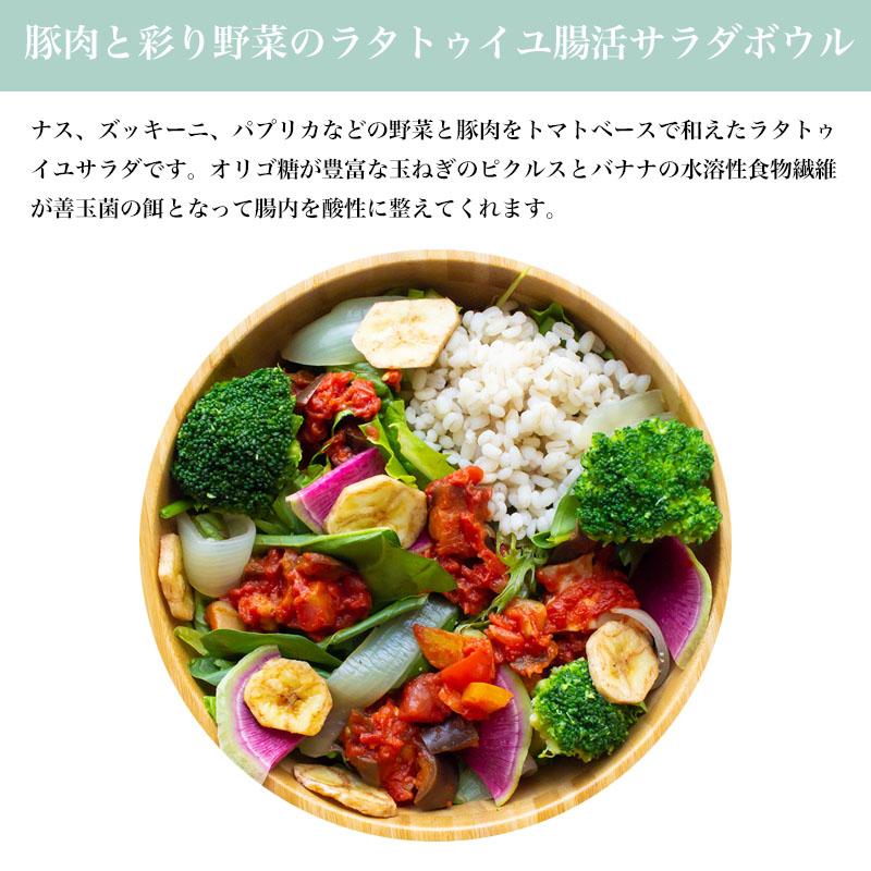 ダイエット腸活サラダ2種類 ギフトC 国産もち麦と野菜たっぷり 海鮮エビアボカド トマトラタトゥイユ 便秘 ダイエット 腸活チェックシート付き |  | 02