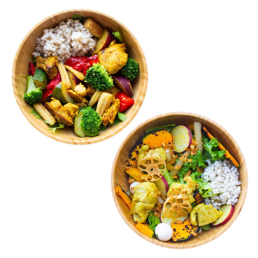 腸内温めサラダ2種類 ギフト 国産もち麦と野菜たっぷり チキンささみ肉グリーンカレー タンドリーチキン 便秘 ダイエット 腸活チェックシート付き | 