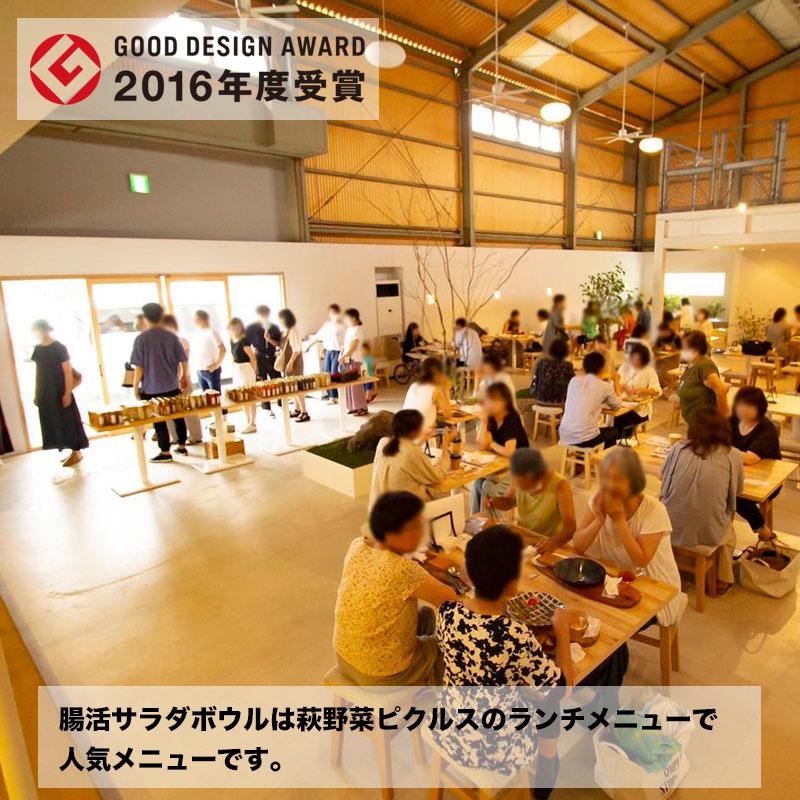 腸内温めサラダ2種類 ギフト 国産もち麦と野菜たっぷり チキンささみ肉グリーンカレー タンドリーチキン 便秘 ダイエット 腸活チェックシート付き |  | 11