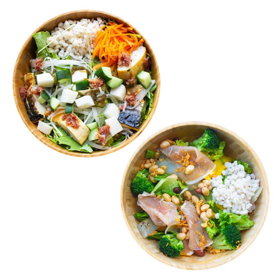 水溶性食物繊維サラダ2種類 ギフトB 国産もち麦と野菜たっぷり 海藻 塩サバ 生ハム 便秘 ダイエット 腸活チェックシート付き | 