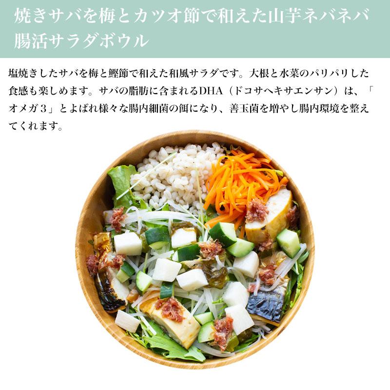 バランス腸活サラダ2種類 ギフト 国産もち麦と野菜たっぷり 海藻 塩サバ ローストビーフ 便秘 ダイエット 腸活チェックシート付き |  | 03