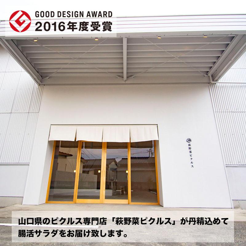 バランス腸活サラダ2種類 ギフト 国産もち麦と野菜たっぷり 海藻 塩サバ ローストビーフ 便秘 ダイエット 腸活チェックシート付き |  | 10