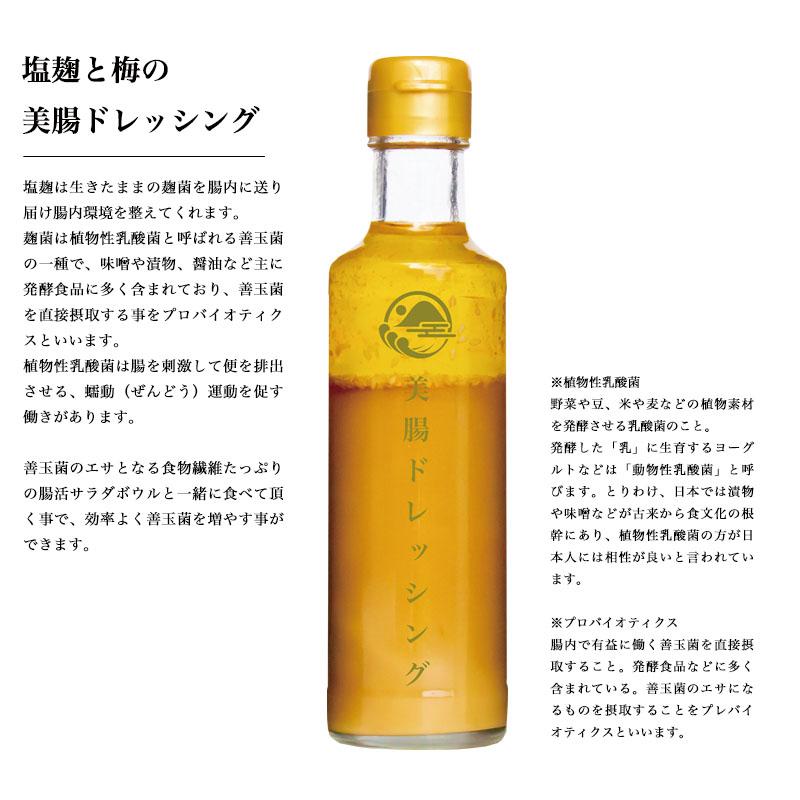 美腸ドレッシング 生玉ねぎ 甘酒 塩麹 調味料詰め合わせ サラダ 酵素 便秘 ダイエット ギフト 腸活チェックシート付き |  | 02