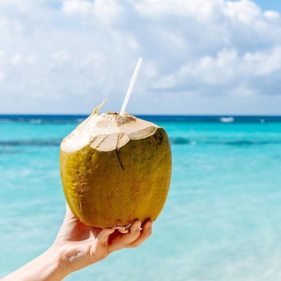 チャオコー ココナッツミルクパウダー 60g X 12袋 ハラル認証 ハラール 0130 12 Tabeluca タベルカ 通販 Yahoo ショッピング