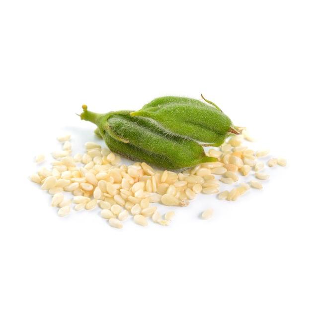 白ごまペースト 1kg×3袋 皮つき 胡麻屋の底力 練り胡麻 無糖 無添加