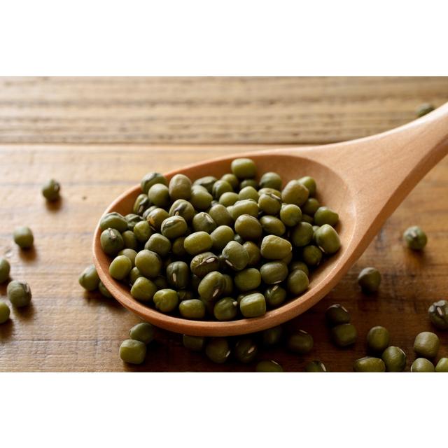 緑豆 10kg 豆力 中国産 りょくとう モヤシ豆 国内加工 乾燥豆 豆類