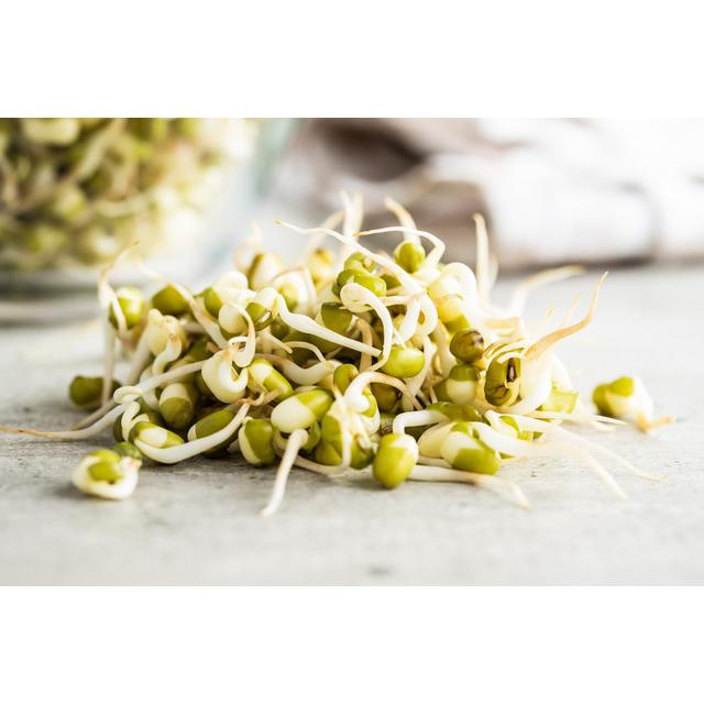 緑豆 10kg 豆力 中国産 りょくとう モヤシ豆 国内加工 乾燥豆 豆類