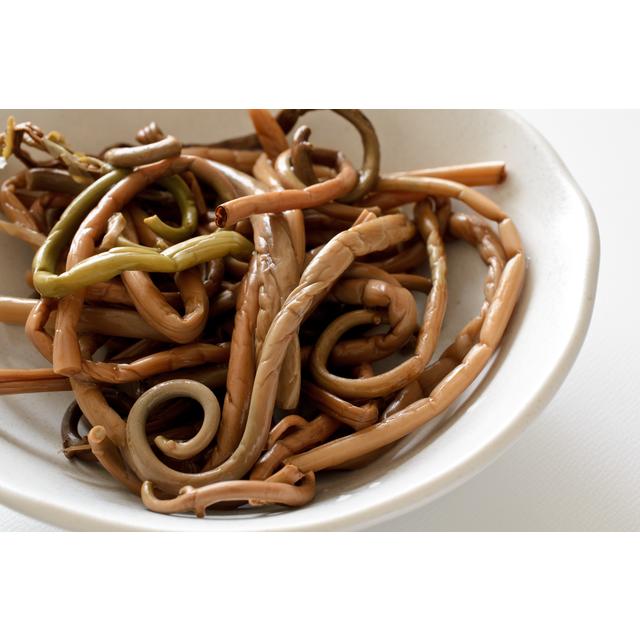 ぜんまい水煮 60g×20袋 国産 国内産 丸中食品 発条 全妹 ゼンマイ 山菜水煮 水煮野菜 国内製造 簡単 便利 調理素材の画像