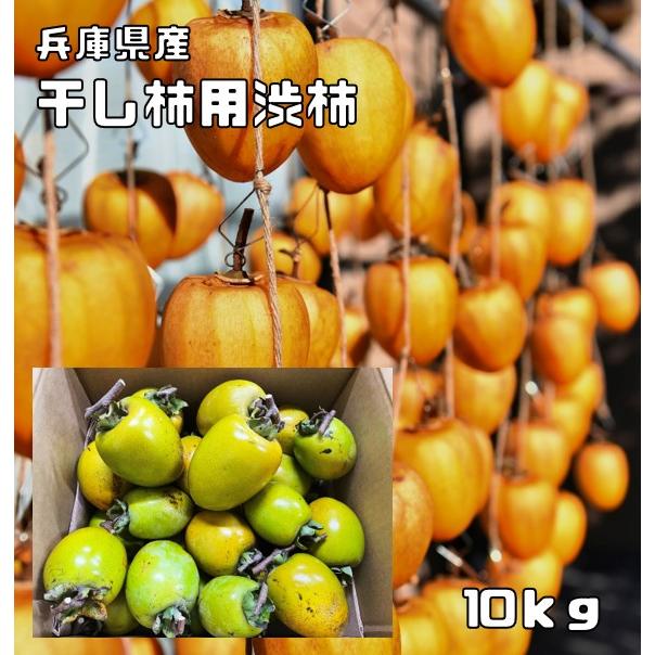 干し柿用渋柿 10Kg 食べチョク 兵庫県産 未選別 傷あり 兵庫産 吊るし