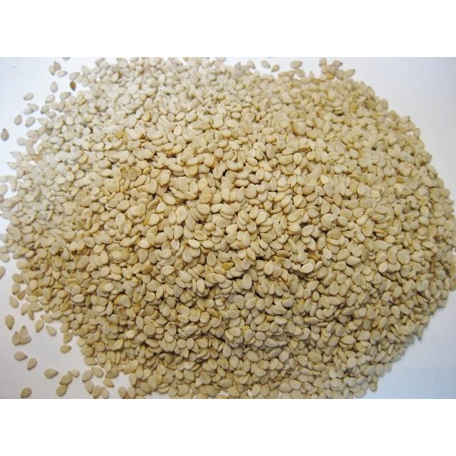 白洗いごま 1kg 生胡麻 胡麻屋の底力 白胡麻 白ごま しろごま 国内