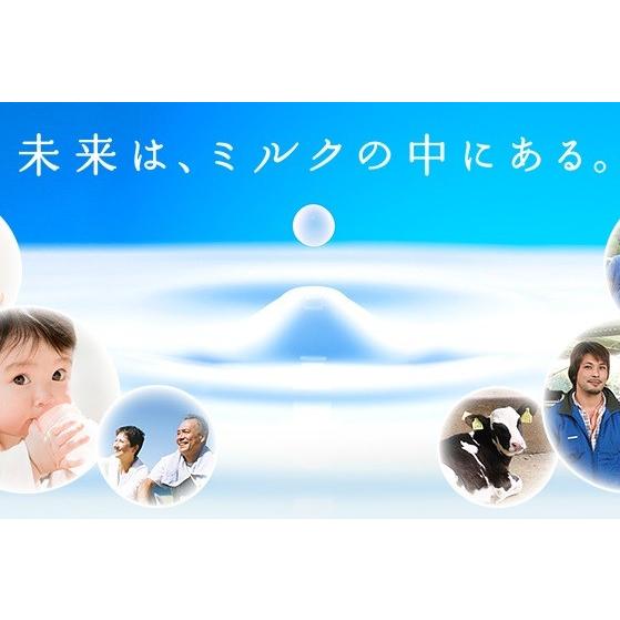 北海道スキムミルク 380g×3袋 雪印メグミルク 低脂肪 脱脂粉乳 製菓