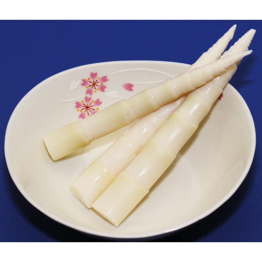 宅配便送料無料 北海道物産のこだわり食材 国産細竹水煮 60ｇ 3袋 国内産 根曲がり竹 筍 竹の子 山菜水煮 206 食べもんぢから Yahoo 店 通販 Yahoo ショッピング
