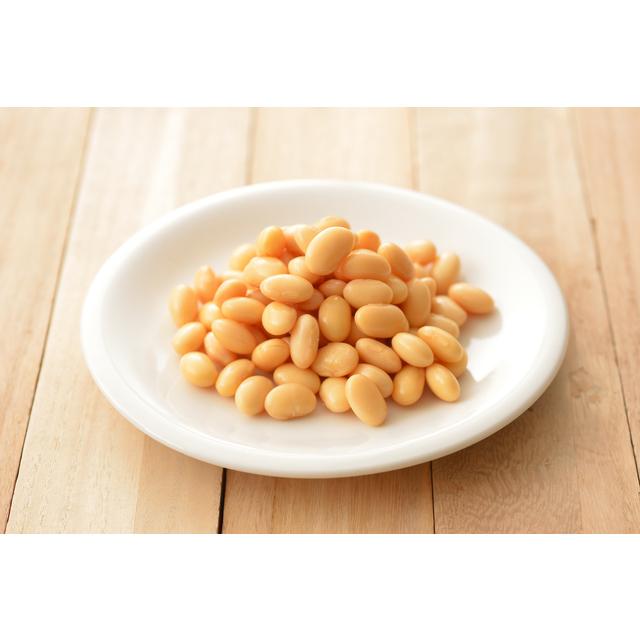 蒸し大豆 100g×20袋 ニチレト ホクホクお豆の 国産 国内産 北海道産