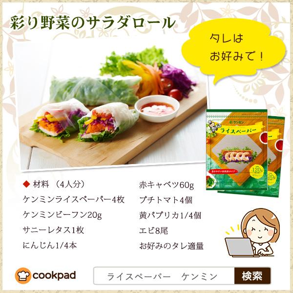 ライスペーパー 120g×3袋 四角いタイプ ケンミン 生春巻きの皮 健民