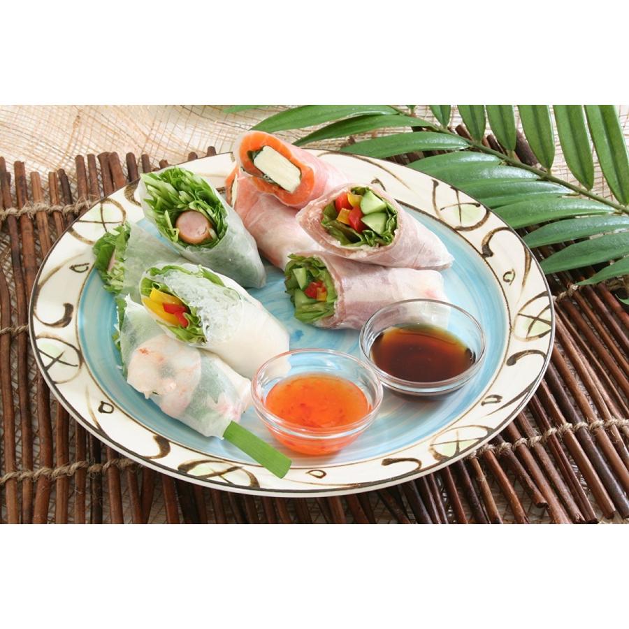 ライスペーパー 120g×20袋 四角いタイプ ケンミン 生春巻きの皮 健民