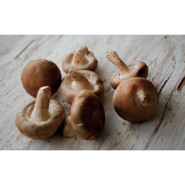 有機栽培きのこセット 1Kg 鳥取県伯耆産 食べチョク 伯耆のきのこ 椎茸