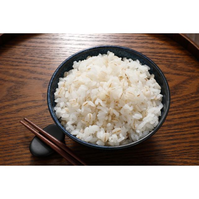 押麦 5kg まめやの底力 岡山県産 国産 国内産 押し麦 雑穀 国内加工 おしむぎ おし麦 穀物 雑穀米 雑穀ごはん 大麦 麦 : 食べもん ...
