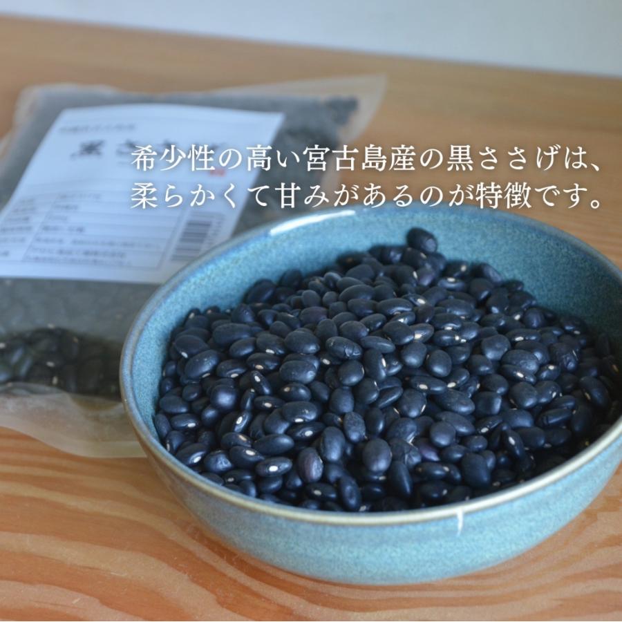 沖縄県宮古島産 黒ささげ 200g×3袋 豆力 希少豆 ふちゃぎ トゥワダム