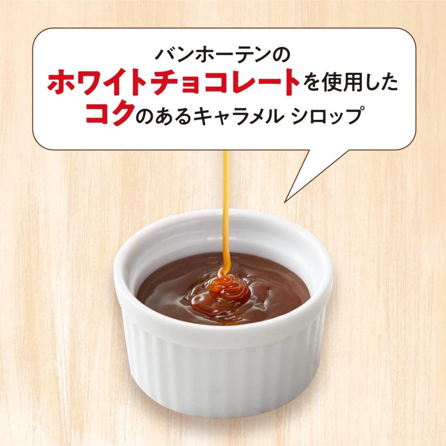 キャラメルシロップ 630g×12個 バンホーテン Van Houten syrup 業務用
