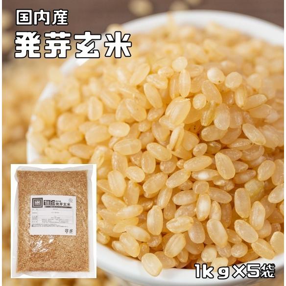 発芽玄米 5kg 豆力 北海道産 玄米 玄氣 米 発芽米 無洗米タイプ 日本